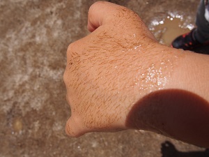 %E6%B3%A5%E3%82%93%E3%81%93%E3%80%80%E6%89%8B.jpg