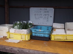 P4150290.jpg
